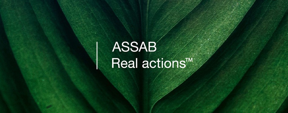 ASSAB Real actions logo